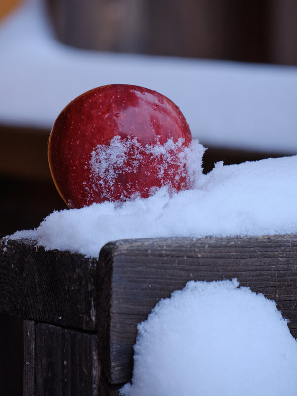 Яблоко на снегу - Михаил *******