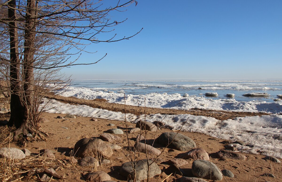 Зеленогорск - Наталья Герасимова Зеленогорск - Наталья Герасимова