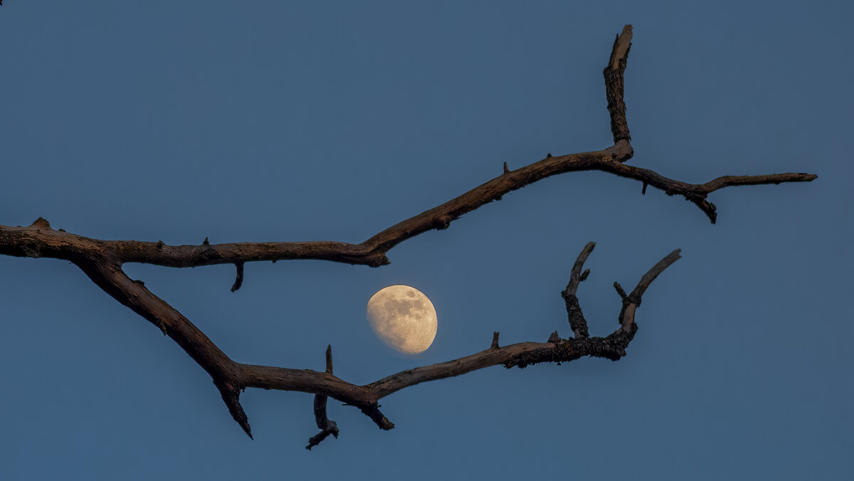 Луна - Григорий П Луна - Григорий П