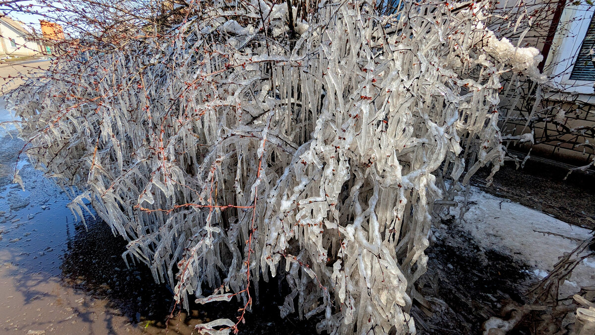 начало апреля 12 - Александр Прокудин