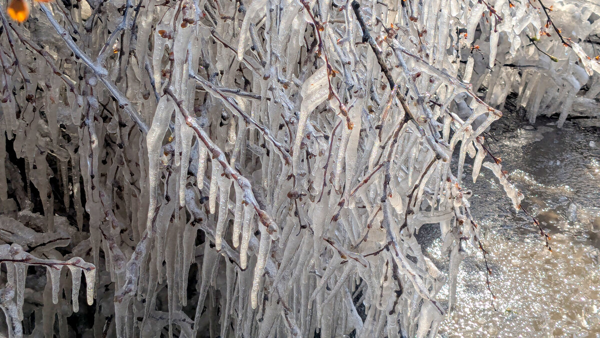 начало апреля 14 - Александр Прокудин начало апреля 14 - Александр Прокудин