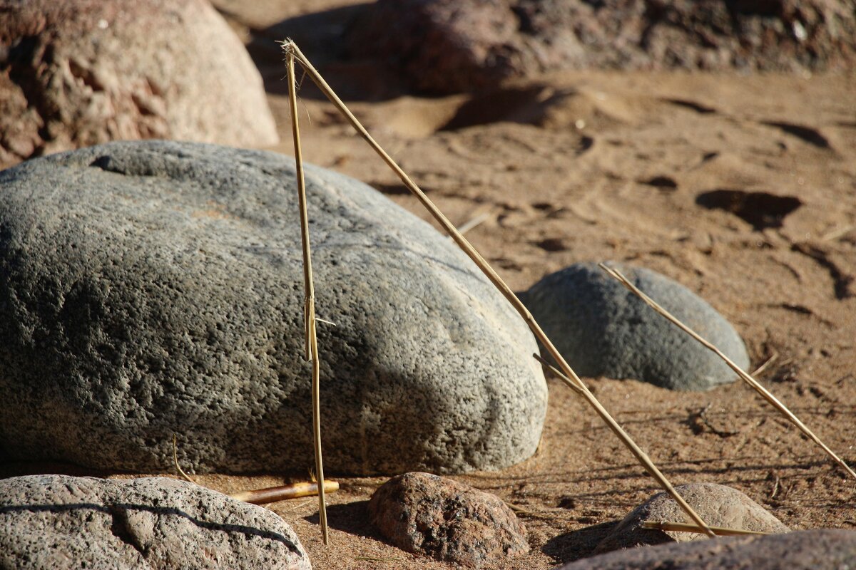 *** - Наталья Герасимова