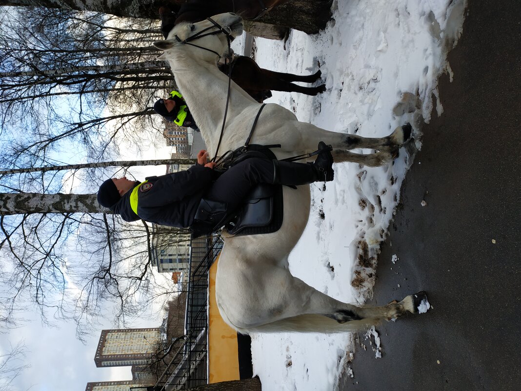 Вы до сих пор не любите блондинок? - Тогда мы едем за вами. - Андрей Лукьянов Вы до сих пор не любите блондинок? - Тогда мы едем за вами. - Андрей Лукьянов