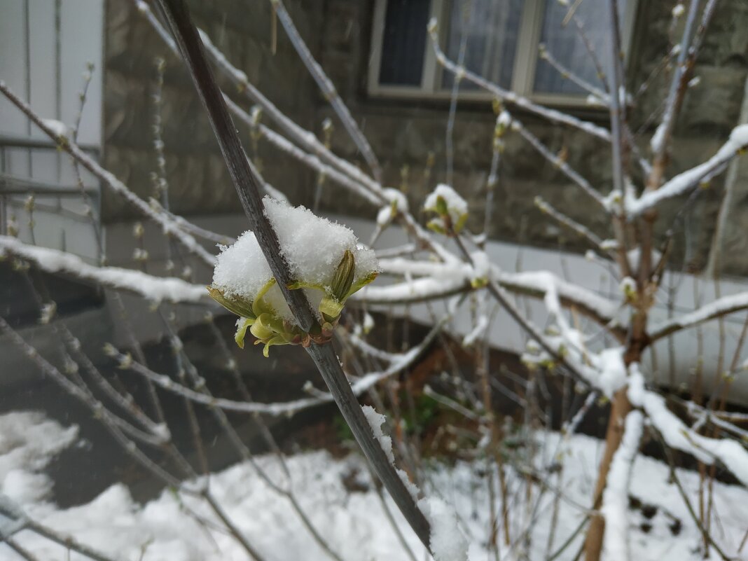 Единство и борьба противоположностей - Андрей Лукьянов