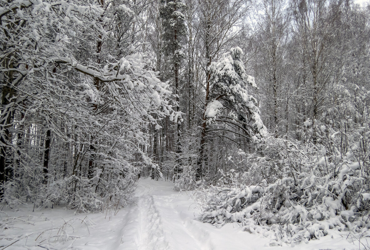 Апрельские дорожки это вам не мартовские - Сергей Цветков