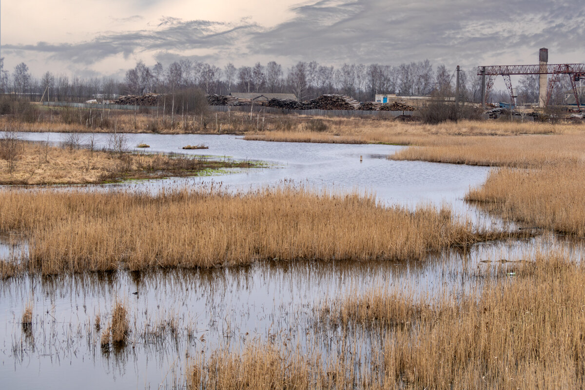 На городских окраинах. - Игорь Сикорский