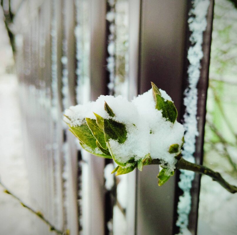 Циклон Зион - Галина Бобкина Циклон Зион - Галина Бобкина
