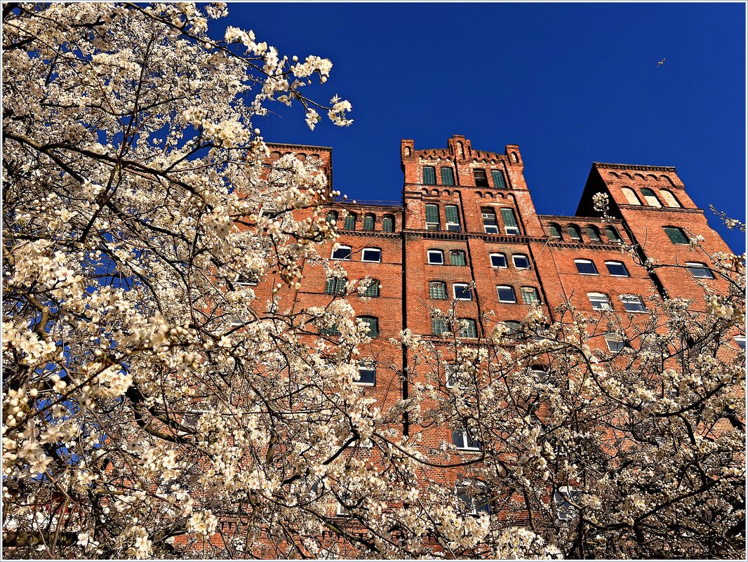 Весна. - Валерия Комова Весна. - Валерия Комова