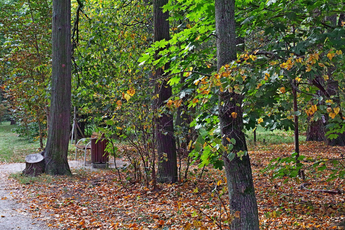 Кузьминский парк - Игорь Белоногов Кузьминский парк - Игорь Белоногов