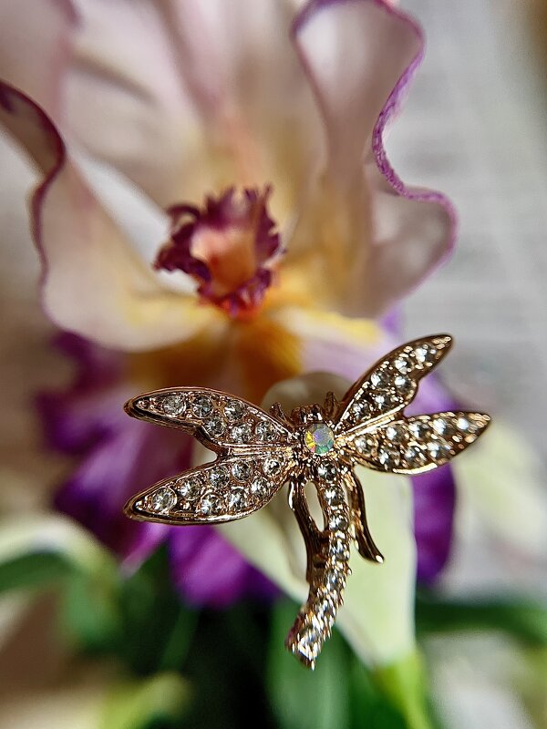 Стрекоза - Виктор Орехов Стрекоза - Виктор Орехов