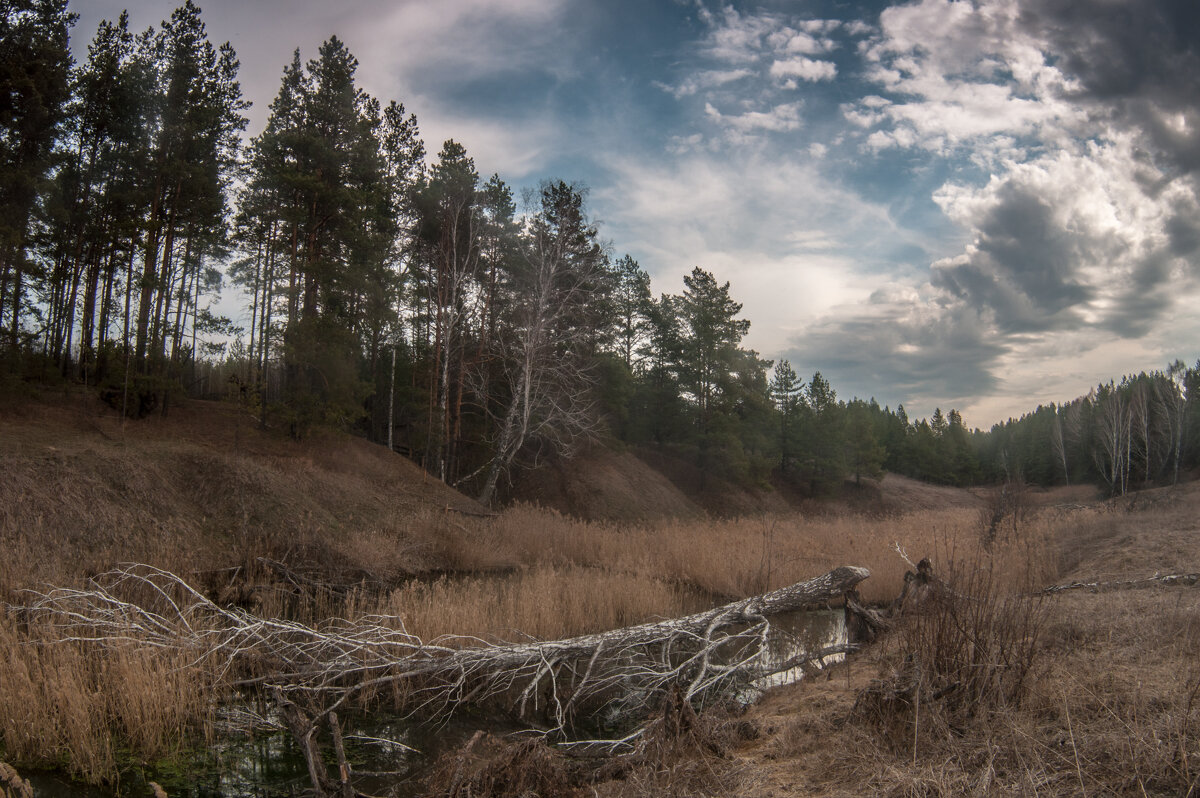 ... - Владимир Новиков ... - Владимир Новиков