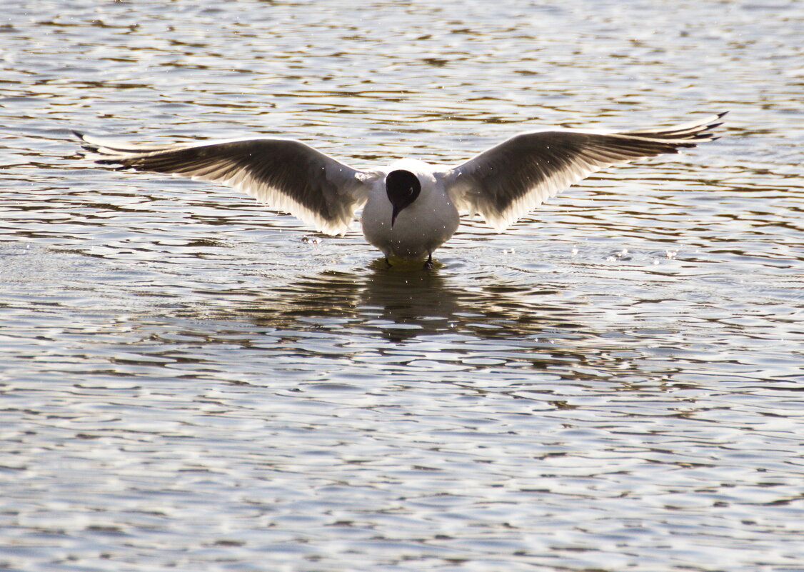 На взлет - Владимир Зырянов На взлет - Владимир Зырянов