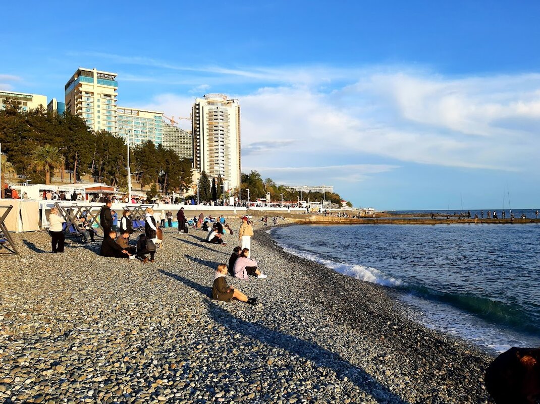 ПОРТ СОЧИ. АПРЕЛЬ 2025 - Tata Wolf