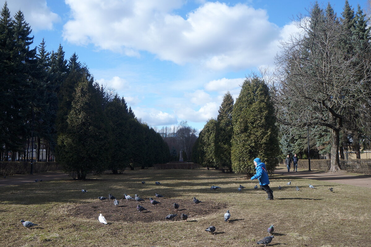 сад "Василеостровец" - zavitok *
