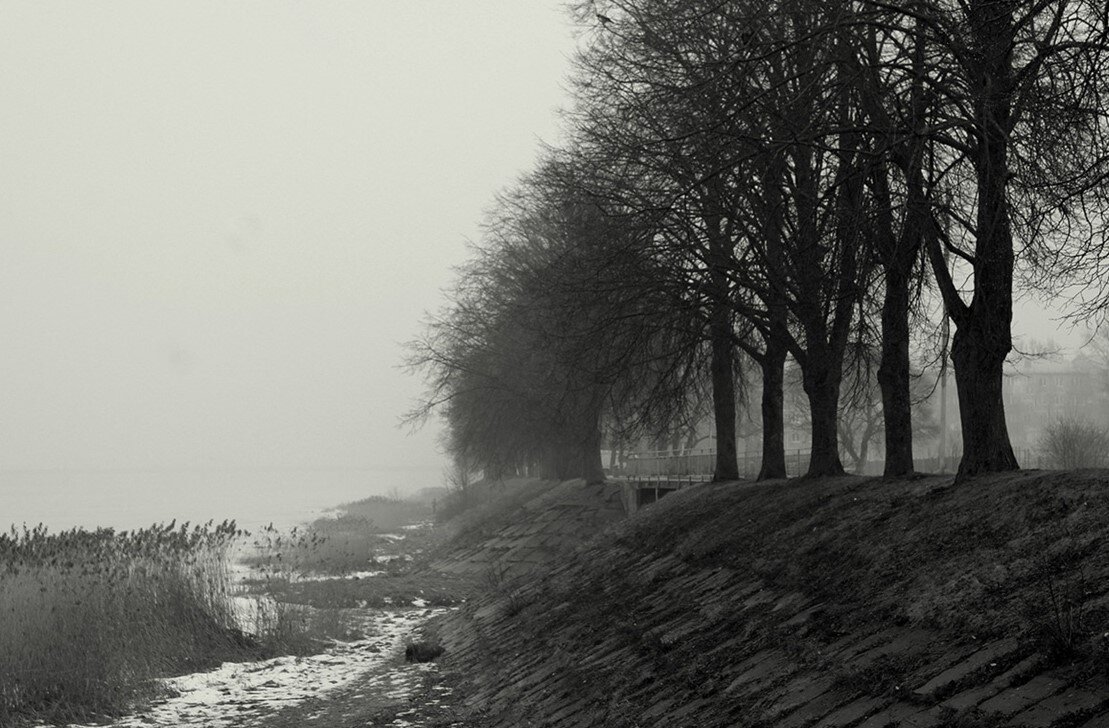 Променад в тумане - Aleksandr Gal