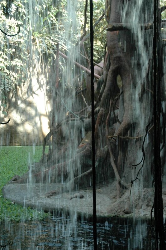 Водопад и лиана - Alexandra Sakharova