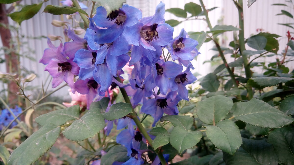 ,,, - Сергей Тимоновский ,,, - Сергей Тимоновский