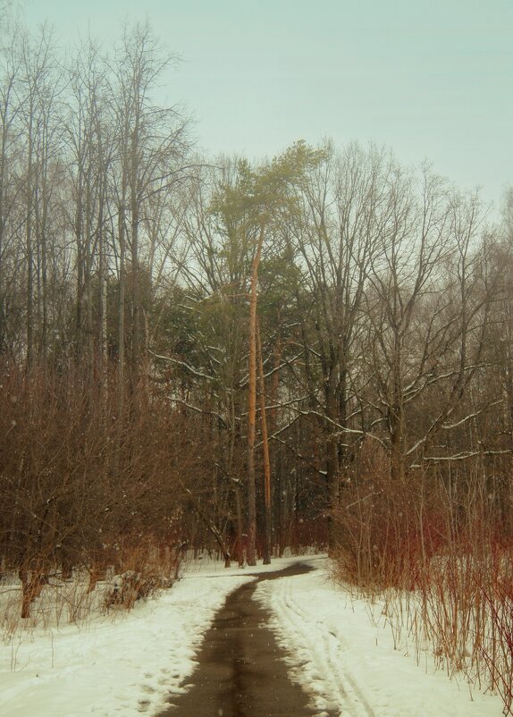 Химкинский парк - Леонид leo