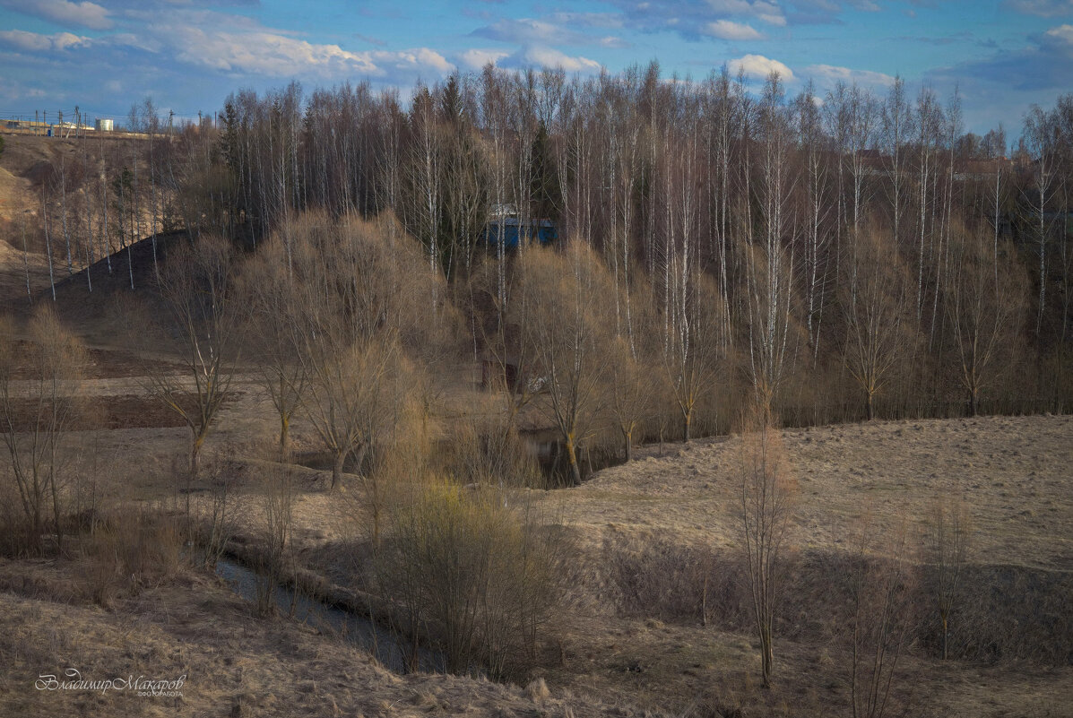 "Весна продолжается. Вербная неделя"© - Владимир Макаров "Весна продолжается. Вербная неделя"© - Владимир Макаров