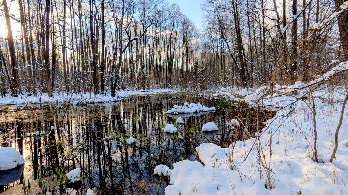 начало апреля 20 - Александр Прокудин