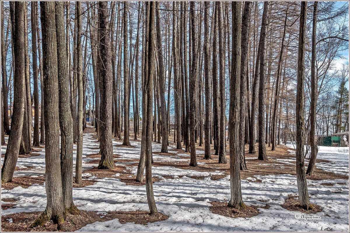 Апрель... - Aquarius - Сергей