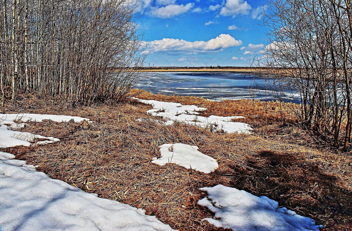 Май...Весна на протоке Чеускиной! - Владимир 