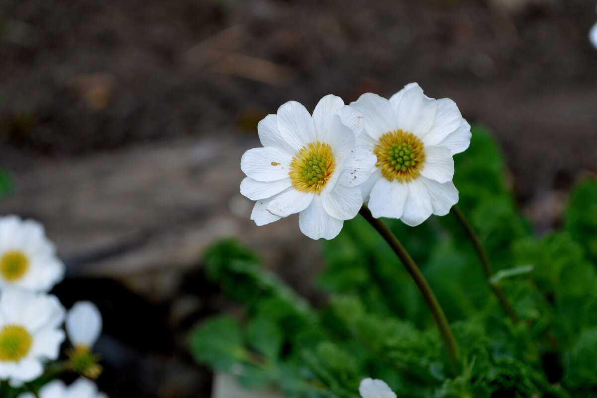 Незнакомцы - Татьяна Лютаева