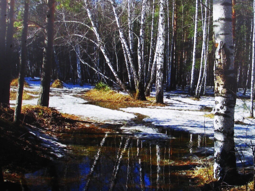 Тает выпавший снег - Людмила Смородинская