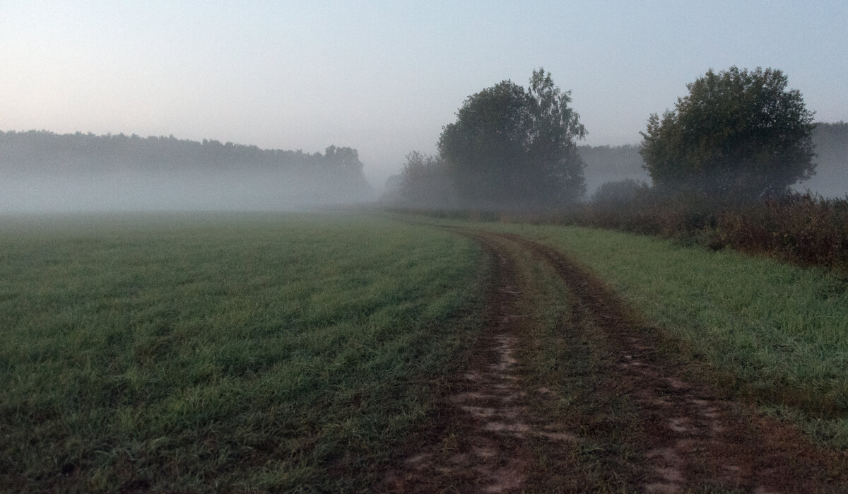 *** - Владимир Безбородов