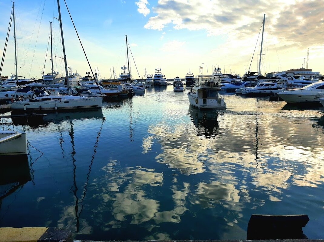 Порт Сочи. Апрель 2025 - Tata Wolf Порт Сочи. Апрель 2025 - Tata Wolf