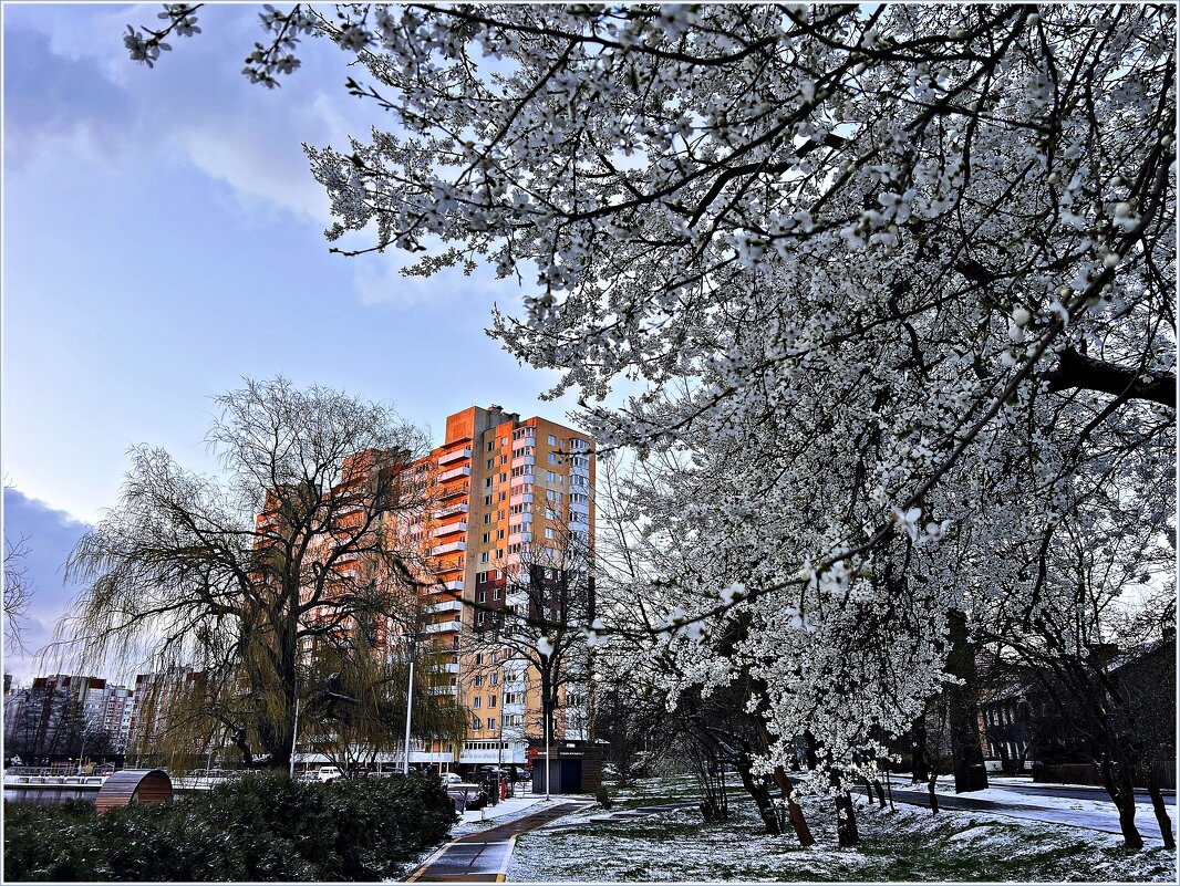 Утро. Немного снега. - Валерия Комова