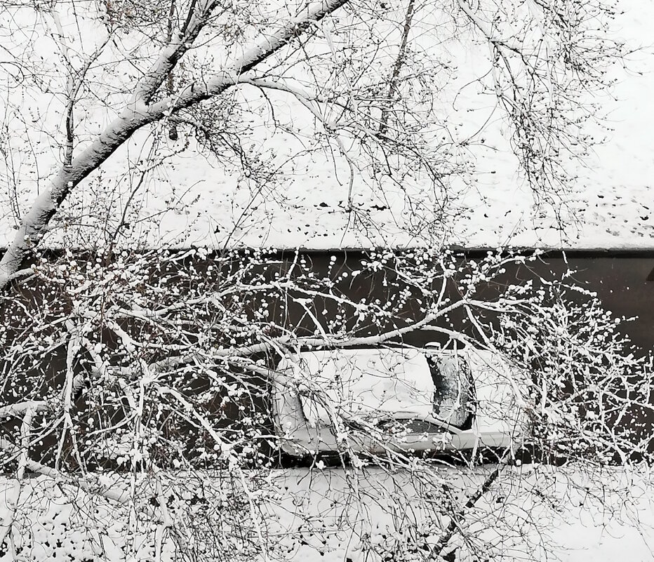 Снежный апрель. - Ольга Довженко