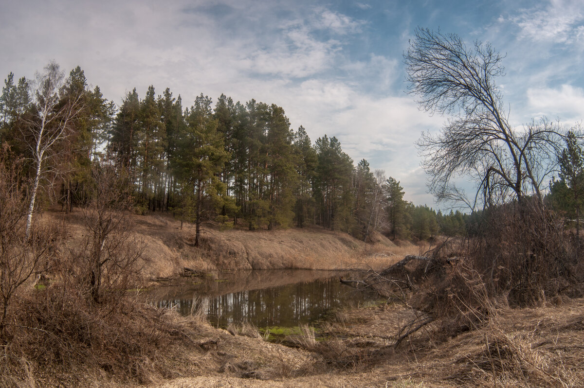 ... - Владимир Новиков ... - Владимир Новиков