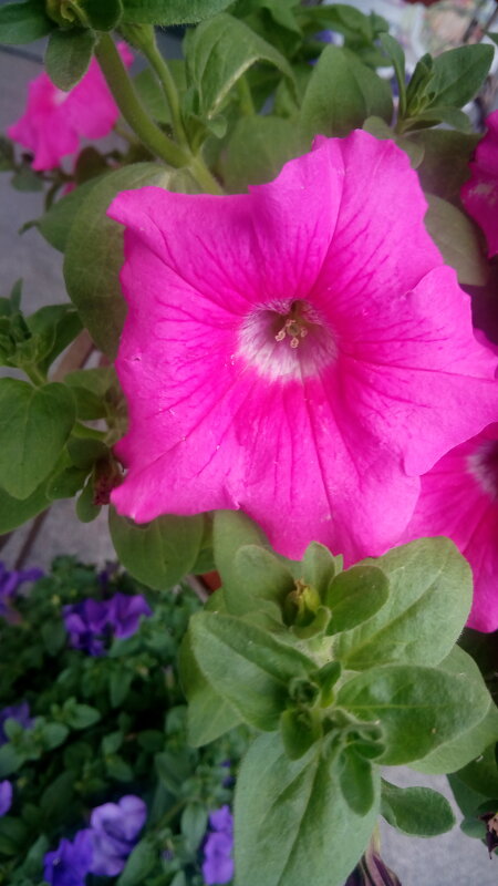 ,,, - Сергей Тимоновский