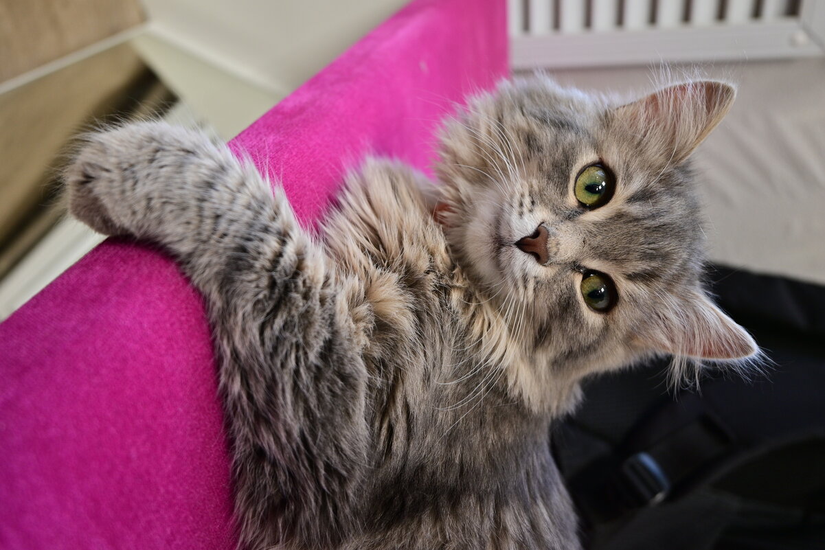 Самый продуктивный сотрудник: делает 20 перерывов на сон в день - Владислав Левашов Самый продуктивный сотрудник: делает 20 перерывов на сон в день - Владислав Левашов