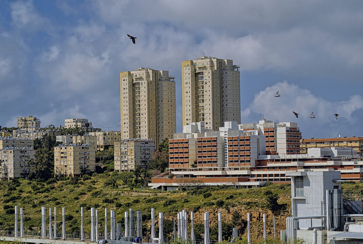 Израиль *Хайфа 11,04,2024год - ujgcvbif 