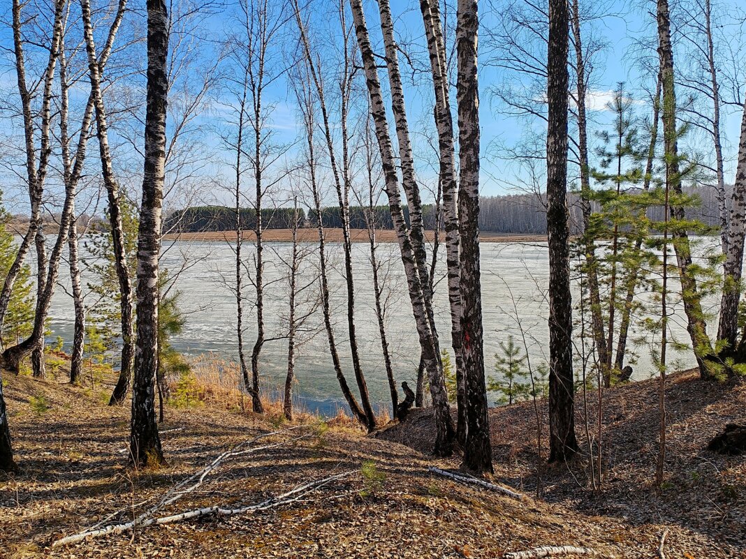 Весна - tamara kremleva