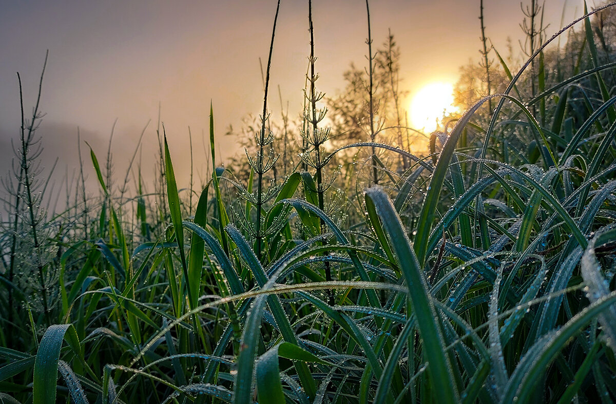 Утро на Мелече - Николай Дергачев Утро на Мелече - Николай Дергачев
