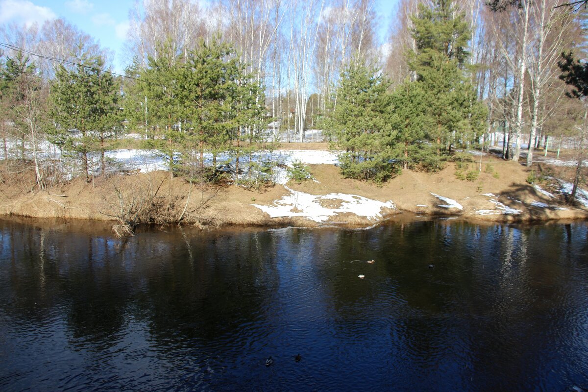 р. Оредеж - Наталья Герасимова р. Оредеж - Наталья Герасимова