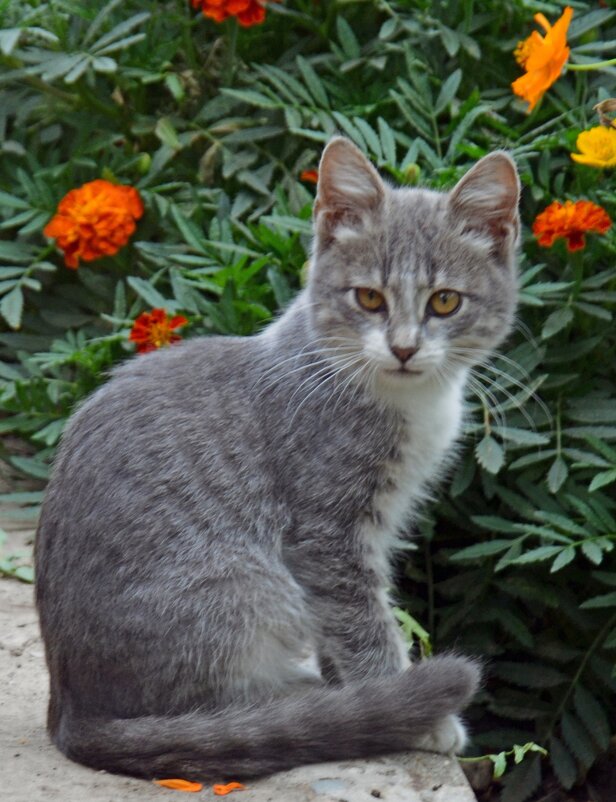 уличный портрет - Сергей М 