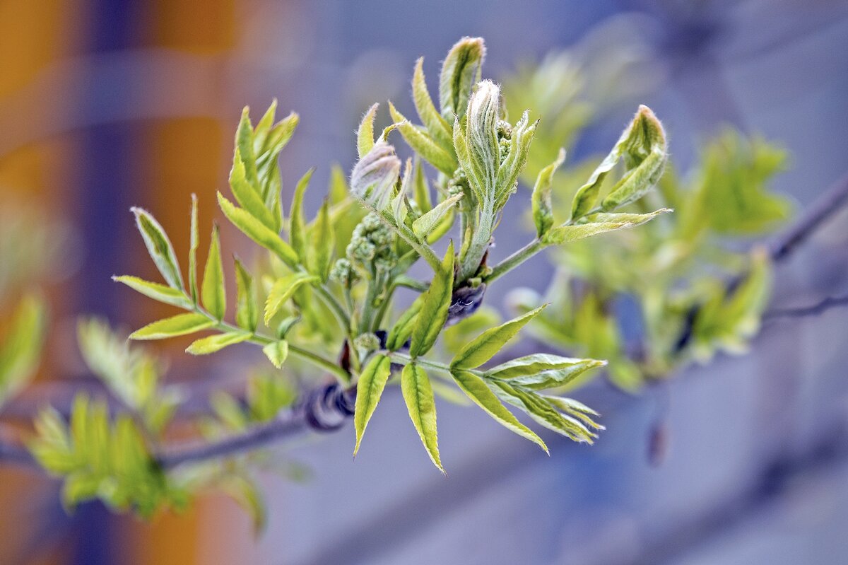 Апрель - Валерий Иванович Апрель - Валерий Иванович