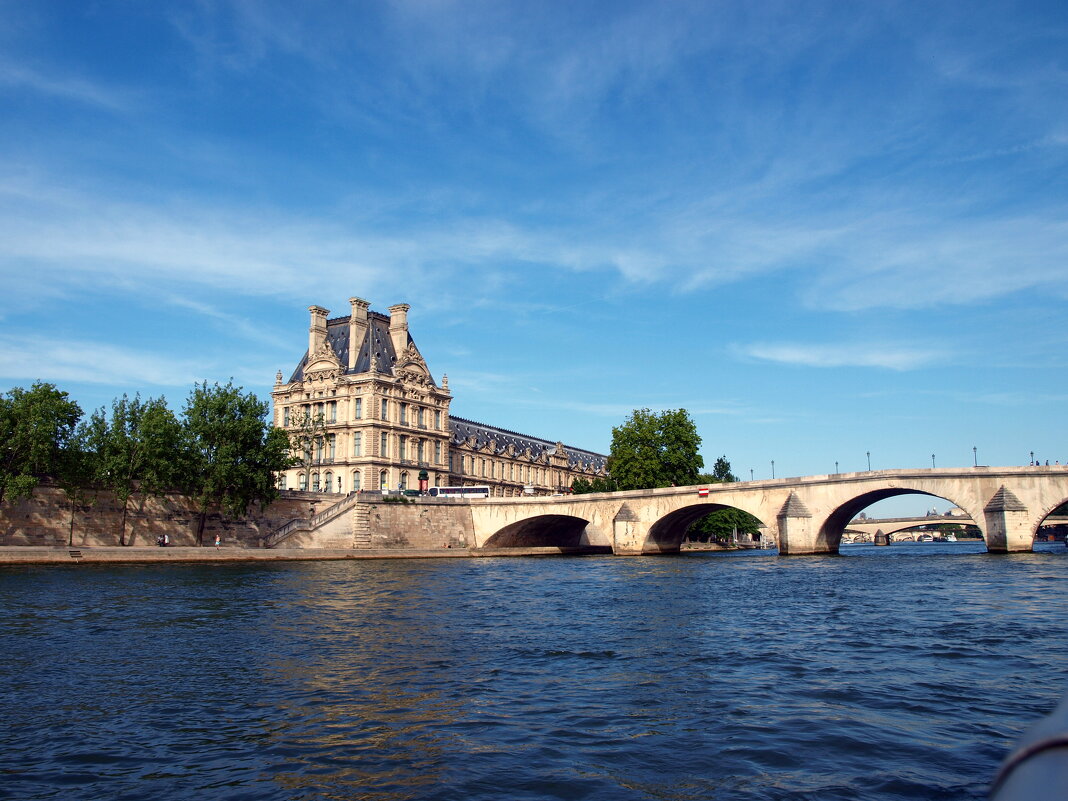 Париж. - Владимир Драгунский