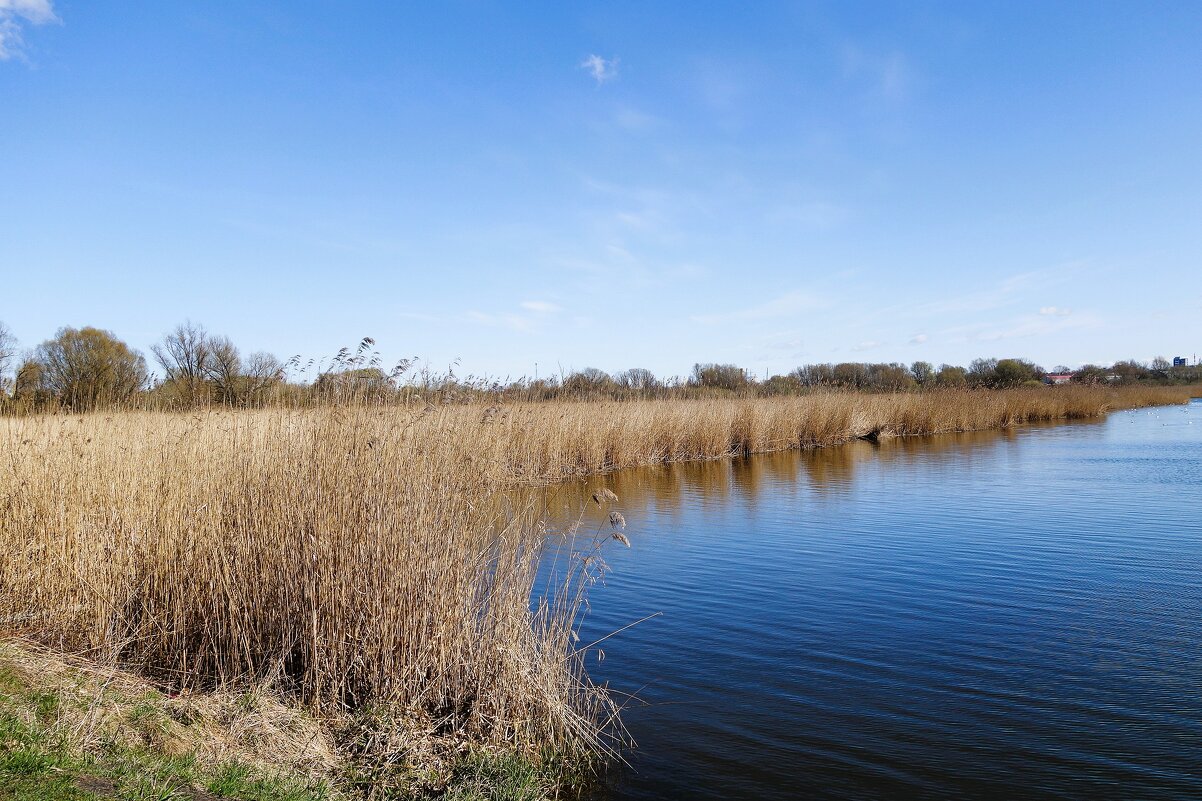 Городские окраины - Рита Симонова Городские окраины - Рита Симонова