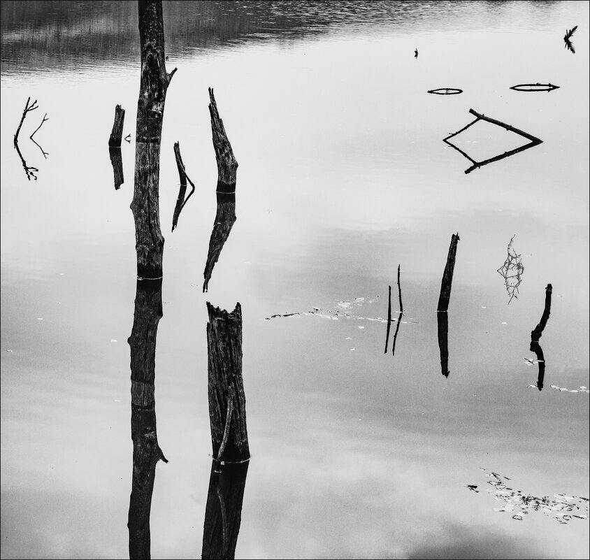 В тихом омуте черти водятся. - Елена Демидова В тихом омуте черти водятся. - Елена Демидова