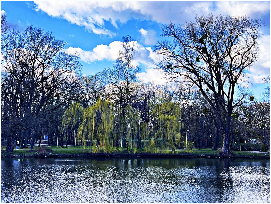 Ивушка. - Валерия Комова Ивушка. - Валерия Комова