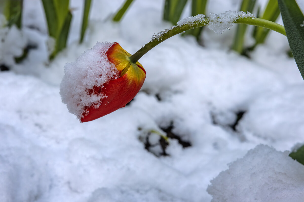 У земли теплее... - Валерий Басыров У земли теплее... - Валерий Басыров