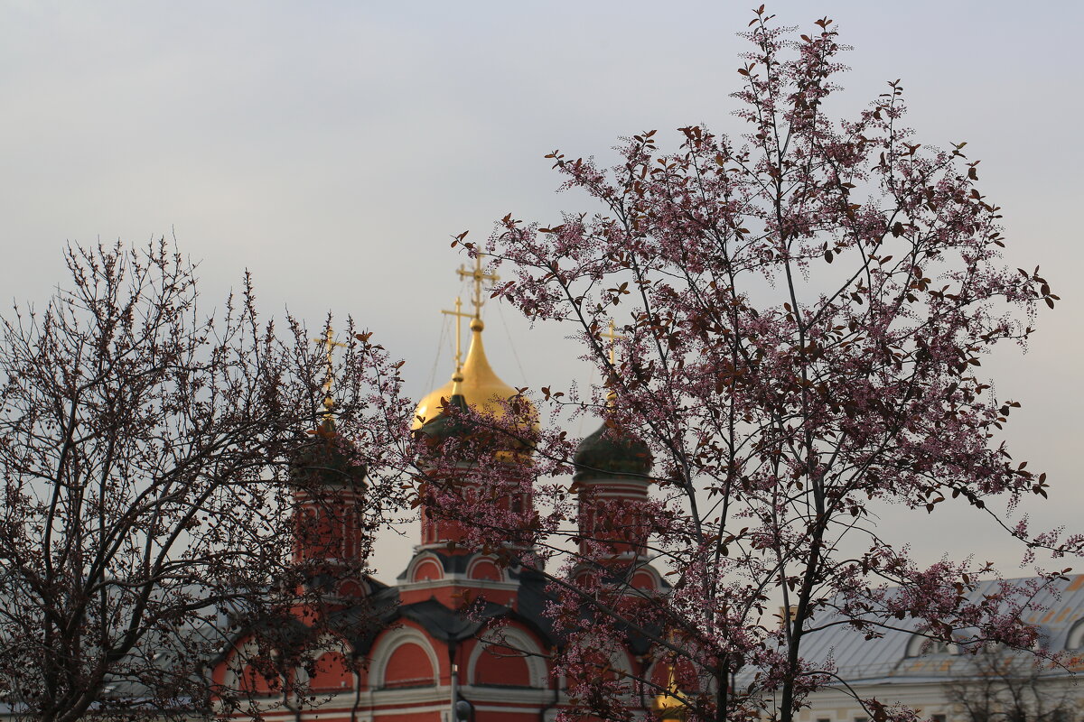 Зарядье - Ninell Nikitina