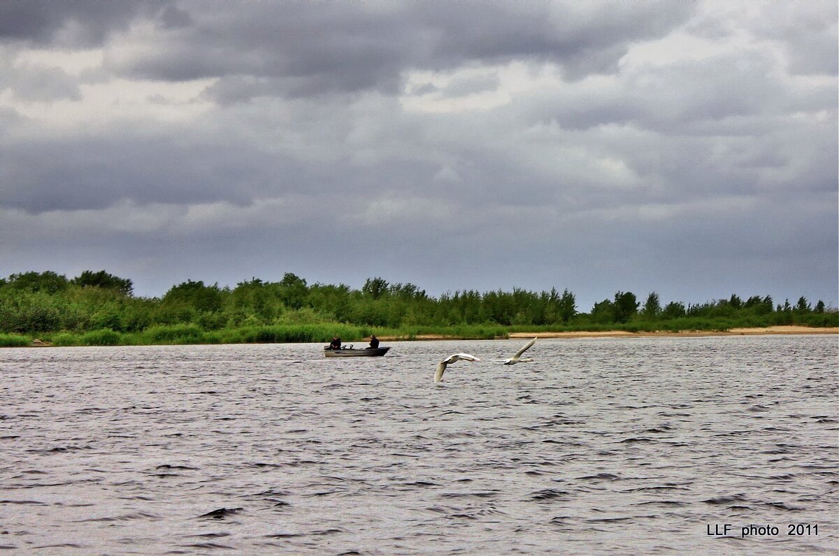 Над рекою - Liudmila LLF