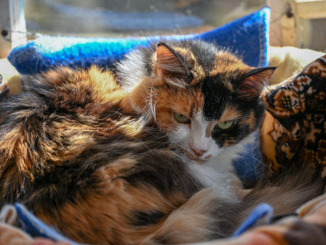 Минни - Вадим 