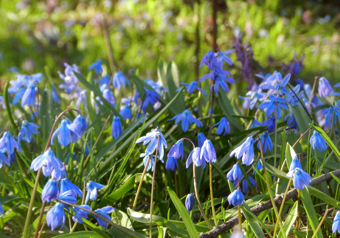 *** - Лера *** - Лера